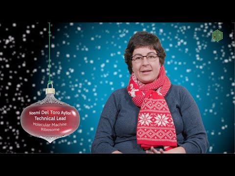12 molecular machines of Christmas | Ribosome